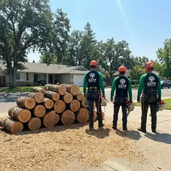 Freshly cut oak logs from a Green Bay tree removal