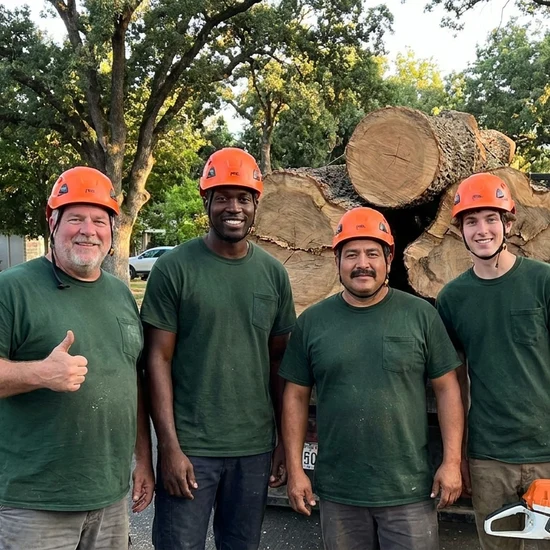 Baywood tree crew with a truck loaded with oak logs in Green Bay