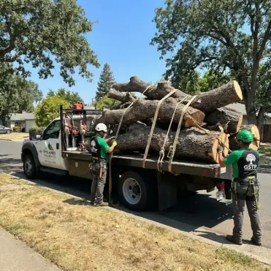 Tree service truck loaded with branches after a Green Bay job